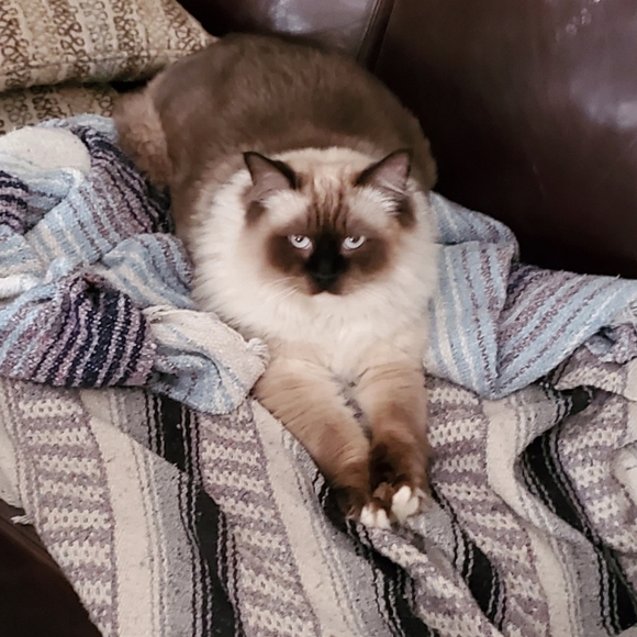 Meet your Posher, Kimberly - Picture 7 of 10